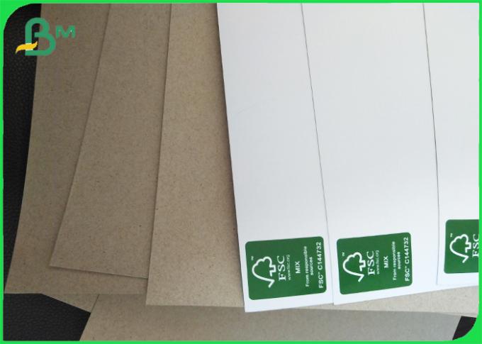 450gsm FSC C1S Grey Back Paper for Carton Width 1300mm Jumbo Roll 