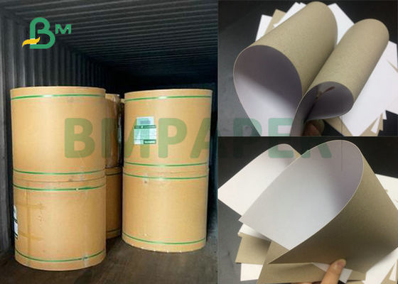 70 x 100 cm 250 gr 300 gr 350 gr Pojedyncza powlekana płyta dwustronna Szary tył do kartonu