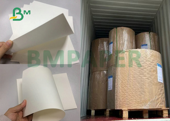 700 X 1000 mm Niepowlekany 210 g / m2 230 g / m2 Biały arkusz papieru bazowego do kubków papierowych