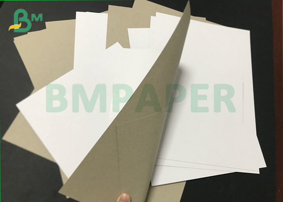 Jumbo rolls CCNB Claycoat 300gsm 450gsm Duplex Paper Board do pakowania