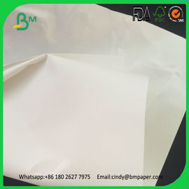2017 Nowy typ produktu Wodoodporny papier syntetyczny TearProof do robienia worków