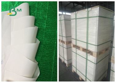 Recycled Degardable Jumbo Roll Paper 200um 250um Dostosowane