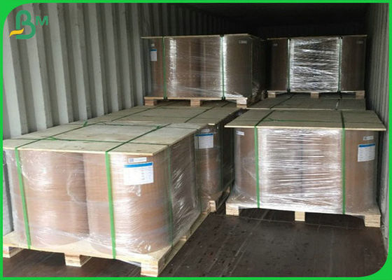 300GSM FSC SGS Biała błyszcząca rolka papieru ze 100% naturalnego materiału celulozowego