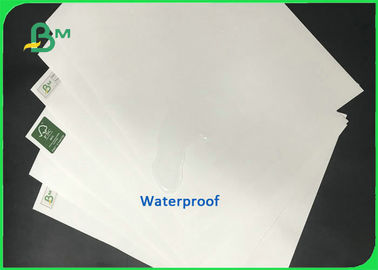 Wodoodporny papier kamienny 140g 160g 300mm * 500m do drukowania notebooków