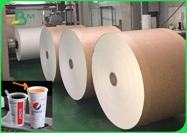 Odporność na ciepło 260 g / m2 Papier powlekany PLA do kubków na napoje Bezpieczeństwo żywności