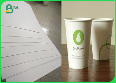 W pełni odnawialne rolki papieru do kubków powlekane polietylenem 180g + 10gsm