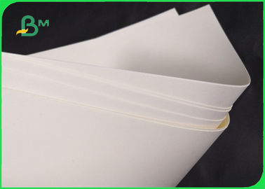 Biodegradowalny papier bazowy o gramaturze 210 g / m2 210 g / m2 Cupstock do miski na żywność 720MM 860MM