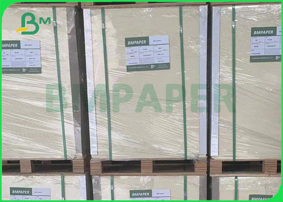235gsm 250gsm Płyta spożywcza GC1 do pudełka na kawę 650mm * 900mm High Bulk