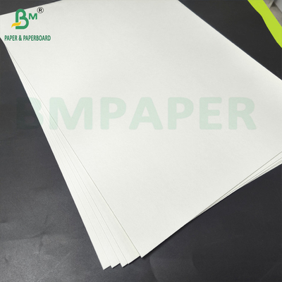 Dwu-stronny wybielony płytek z masy drewna Papier piwa o wysokiej absorpcji