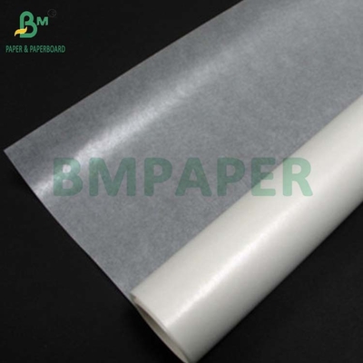24 gm Papier szklany barwny wybielały klasy spożywczej do kubków do piekarni 750 x 1000 mm
