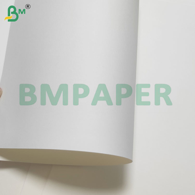 135-350 GSM Papier wodoodporny powlekany PE podwójnej wielkości do kubków i misek