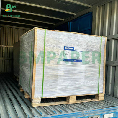 31 cala 35 cala 230 gram 260 gram PE powlekany kubek papierowy rolka do kubków do kawy