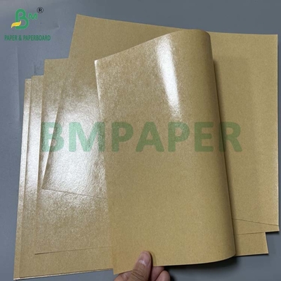 300 gm Grease Proof 1 Side PE Coated Paperboard For Lunch Box 70 x 100cm