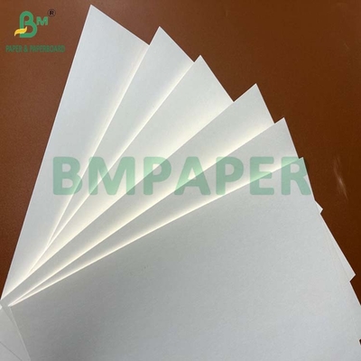 200um 240um Wodotrzymały Papier Kamienny Do Owinięcia Mięsa 787 x 520mm