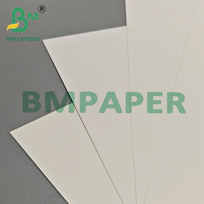 Wielofunkcyjny 200um PET Film Paper For Export Packaging & Industrial Labels