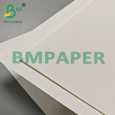 Wielofunkcyjny 200um PET Film Paper For Export Packaging & Industrial Labels