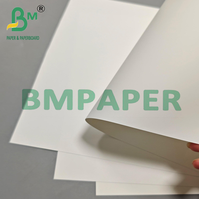 Wielofunkcyjny 200um PET Film Paper For Export Packaging & Industrial Labels