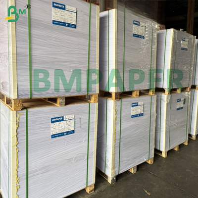250 gm Papier na bazie kubka wodnego na bazie wody Plastic Free Food Grade