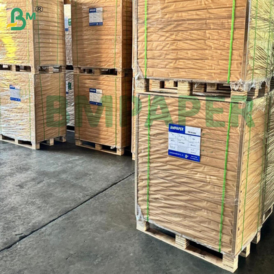 250 gm Papier na bazie kubka wodnego na bazie wody Plastic Free Food Grade