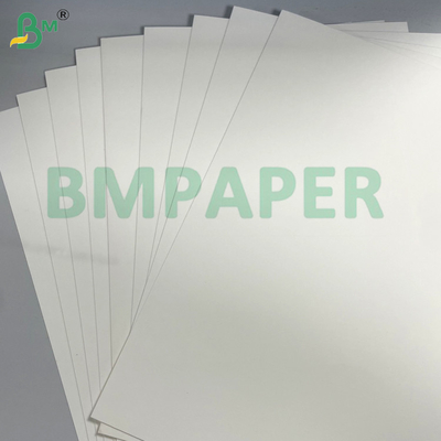 280g + 20g PE jednobokiej powlekanej szklanki klasy spożywczej Biały kubek Papier