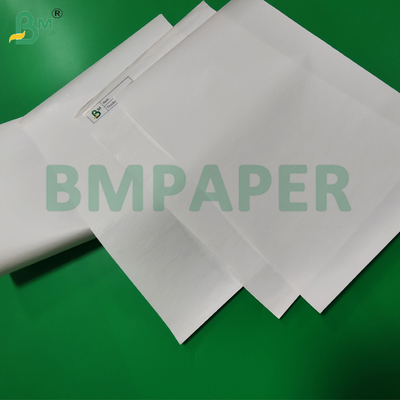 55gsm 65gsm Termiczna Rolka Jumbo do Papieru Termicznego do Maszyn POS 480mm Ekologiczna