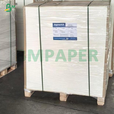 350gsm High Bulk Food Grade One Side Coated Food Board In Sheet