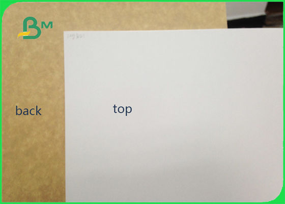 450gsm Certyfikowana FSC powlekana gliną Kraft Back Food Grade Paper Roll / White Liner Paper Do pakowania