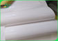Ekologiczna rolka papieru spożywczego o gramaturze 40 g / m2 + 10 g PE do pakowania w paprykę