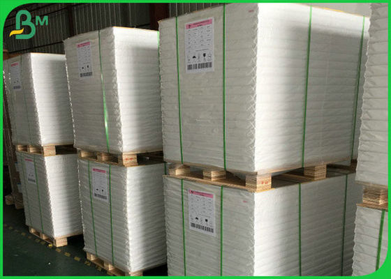 300GSM FSC SGS Biała błyszcząca rolka papieru ze 100% naturalnego materiału celulozowego