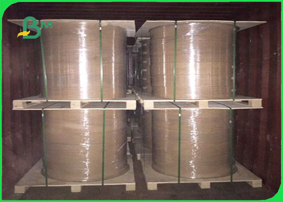 Certyfikowany przez FSC olej i wodoodporny papier powlekany PE w arkuszach i rolkach