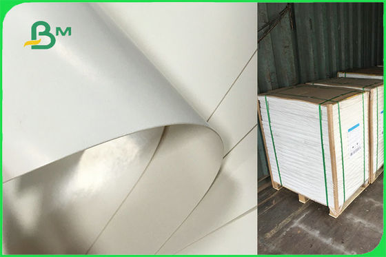 Dostosowany jednostronnie papier powlekany PE na płyty jednorazowe Zatwierdzony przez FSC FDA