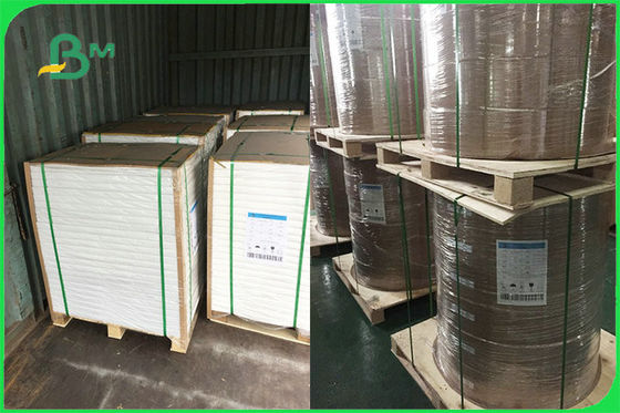 Dostosowany jednostronnie papier powlekany PE na płyty jednorazowe Zatwierdzony przez FSC FDA