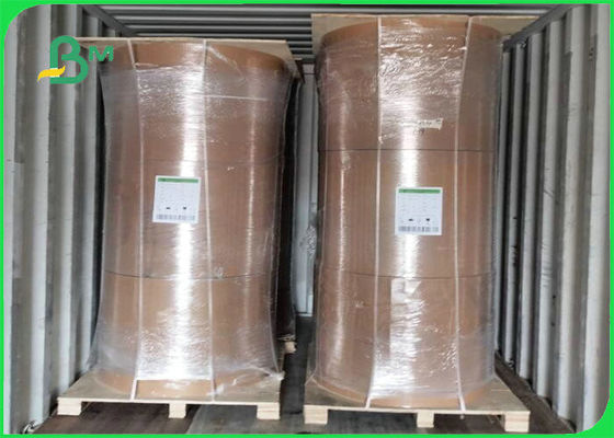 Biodegradowalna płyta kraftowa z folii PE o gramaturze 300 g / m2 + 15 g do pakowania żywności