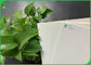 Miazga drzewna Naturalny biały papier chłonny 0,6 mm 0,7 mm do biologicznych pasków testowych