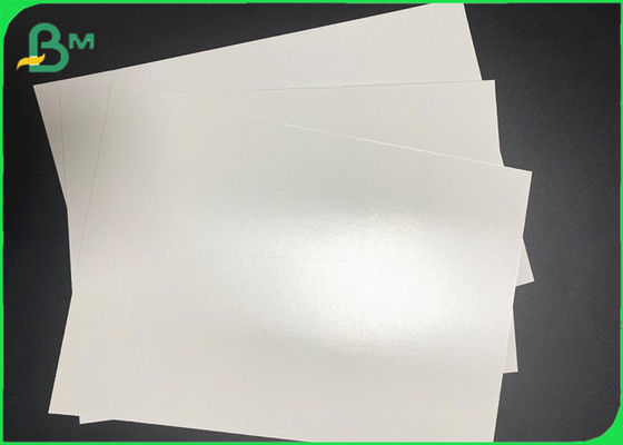 Smaroodporna, powlekana PE, laminowana rolka papieru do kubków z gorącymi napojami