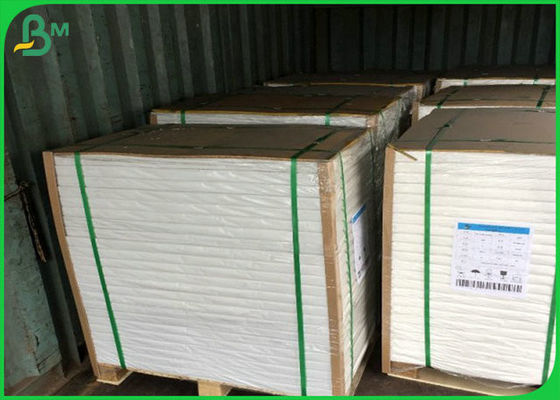 Smaroodporny i wodoodporny FBB 300g z pojedynczym PE do robienia Lunch Box