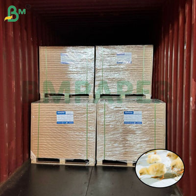 Biały papier dla kurcząt Papier dla kurcząt 66cm 100cm