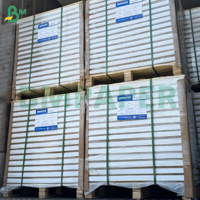 200 gm 300 gm Powierzchnie papieru pokrytego po obu stronach Glossy / Matte Art