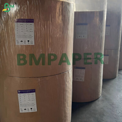 Papier typu cupstock powlekany jednostronnie, kompostowalny, 170 g/m² 190 g/m², na bazie wody, 650 mm