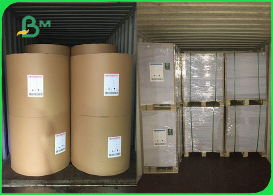 Bezdrzewny papier bezdrzewny FSC o wysokiej bieli 80 g / m2 100 g / m2 na książki Dostosowane