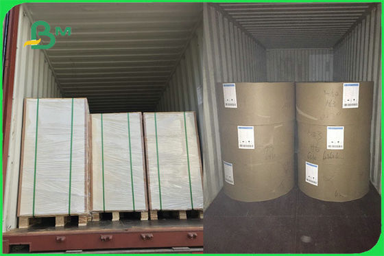 FSC FDA Biała, bezpieczna dla żywności płyta FBB 15g Papier powlekany PE do produkcji kubków na zamówienie