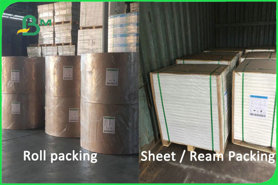 100% Virgin Pulp Biodegradowalny niepowlekany papierowy kubek na papier 170 - 300 g / m2 FDA FSC