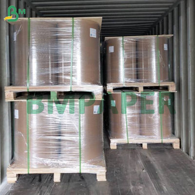 Papilotki do babeczek, odporne na tłuszcz, papier do pieczenia babeczek, papier bazowy w kolorze białym i kawowym