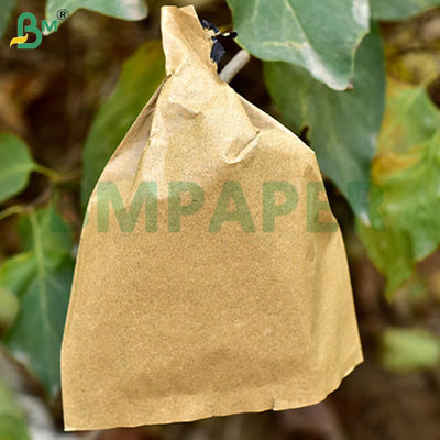 80gsm Fruit Bag Paper Roll Natural Kraft Color Breathable Waterproof Fruit Protection Paper