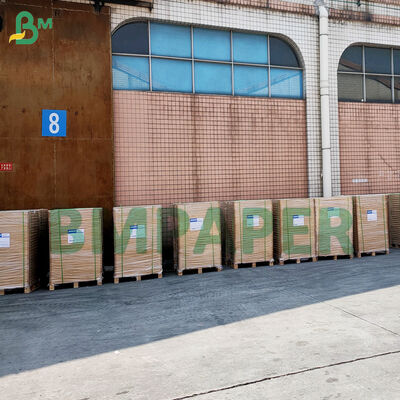 Nieprzylepione wkładki do ciastek do pieczenia Kolorowe, tłuszczoodporne, pergamentowe papiery do muffinowych wkładek