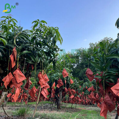 56 g jednobokiej wosku papier czerwony i czarny do uprawy mango, papier ochronny dla owoców odporny na warunki pogodowe