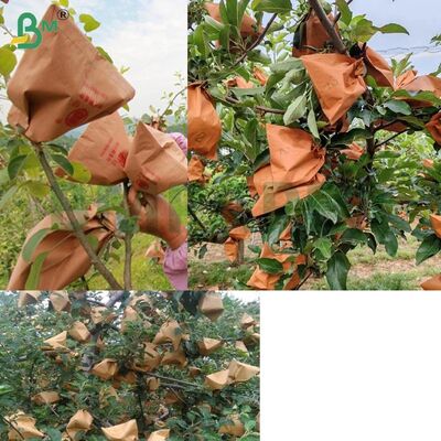 Czerwony zewnętrzny papier do pakowania owoców do owijania jabłek, papier do workowania jabłek 56 g/m² bez wosku