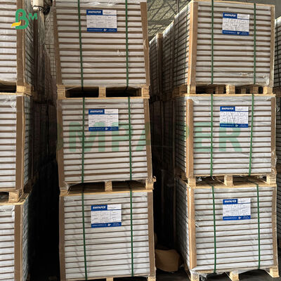 Tłuszczoodporne białe kawowe żółte zielone papilotki do babeczek papier do pieczenia