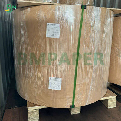 Tłuszczoodporne białe kawowe żółte zielone papilotki do babeczek papier do pieczenia