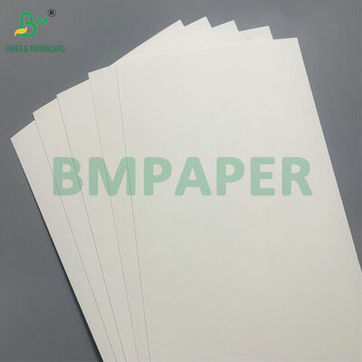 Biodegradowalny i bezpieczny w mikrofalówce karton do tworzenia jednorazowych misek do sałatki